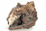 Small, Red Vanadinite Crystals on Manganese Oxide - Morocco #211999-1
